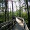 Boardwalk to Manistee River