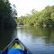 Manistee River July 2007