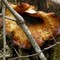 Fungi