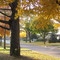Hickory St.