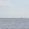 Turtle Island, MI & OH