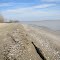 Lakeshore in East Erie