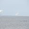 Monroe  fire (left) and Fermini nuclear (right) power plants with geese and ducks