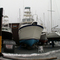 Brewers Sakonnet Marina in Winter 2009, Panorama