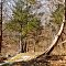 hp_175_13_photo_top_6_uslerc_02.jpg