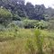 Old Pond Above Lake Worth