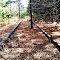 Ghost Railroad