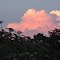 Thunderhead over Timber Lake Bog