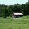 Farm