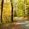 Rural lane in early Fall