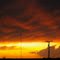 Wellington Sunset