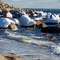   Woods Hole,