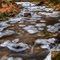 Trap Falls