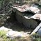 willard brook state forest