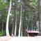 Open Face Shelter