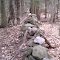 Rock wall