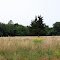 The Field at John Little Conservation Area