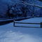 Forest st, Saugus