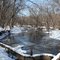 Russell Forest Preserve Creek