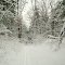 Brewers Road in Winter