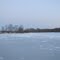 Avis Millpond