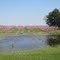 Hardingville Peach Orchard