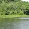 Watsons Mill Pond