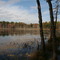 Early Fall Scene