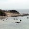 View NE from Manomet Beach
