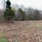 Clearing With New Trail (Panoramic)