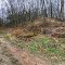 Ruins of a Foundation