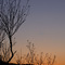 Berkshires at Twilight