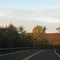 Fall in New York
