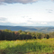 Savoy-MA_AdamsRd-N_View