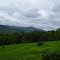 Mt Greylock and Stafford Hill WMA