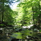 Looking upstream in Worhtington, MA
