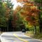 Road Next to Damon Pond