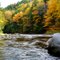 Westfield River foliage
