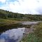 Westfield River
