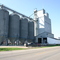 Halstad Elevator Company
