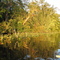 Pocomoke River near Milburn Landing
