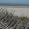 Strathmere Beach