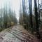 MD_Three notch trail (walking trail)