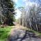MD_Three Notch Trail (walking trail)