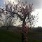 Spring 3-22-2012