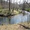 Horsehoe Bend of Gunpowder Falls River