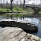Gunpowder Falls River Rocks