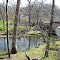 Gunpowder Falls River Bridge