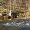Gunpowder Falls State Park I