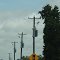 Delmarva Power 12.47kv - Trappe, MD